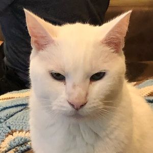 Meet your Posher, Dan